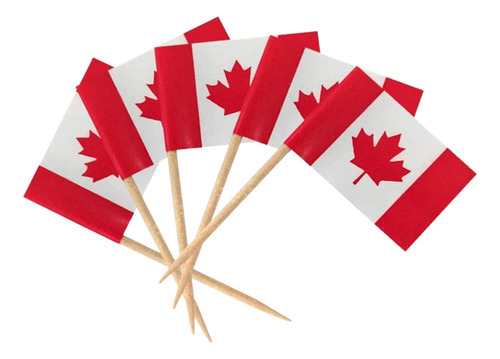 Bandera De Palillo De Dientes De Canadá Decoración De La Ban