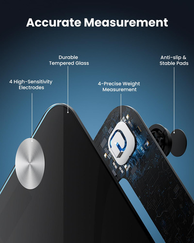 Báscula De Grasa Corporal Bluetooth Renpho, Báscula Digital