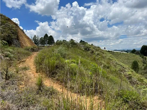 Rhbr-14483 (lote) (guarne)