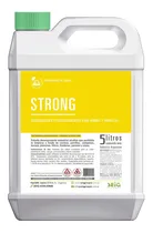 Comprar Desengrasante Strong hornos y parrillas descarbonizante 5L