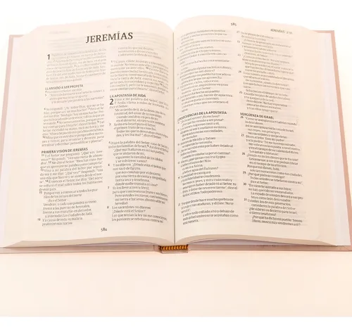 Santa Biblia Nrv 2000 Actualizada, Tapa Dura Rosado