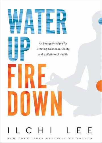 Libro Water Up Fire Down: An Energy Principle For Creating