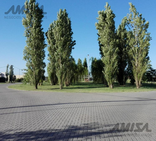 Imagen 3 de 6 de Terreno - Roldán