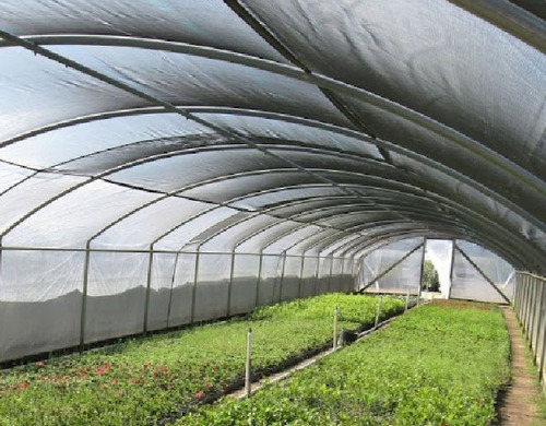Imagen 8 de 10 de Malla 50% De Sombra Monofilamento 3.7m Ancho X 1m Lineal