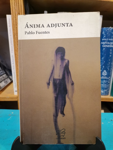 Ánima Adjunta - Pablo Fuentes