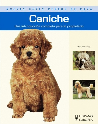 Caniche - Guías Perros De Raza, Marcia Foy, Hispano Europea