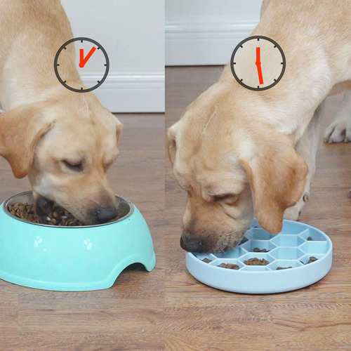 Plato Lento Antiasfixia Para Perro 16cm Naranja Chico