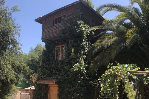 Parque Con Árboles Ornamentales Y Laguna