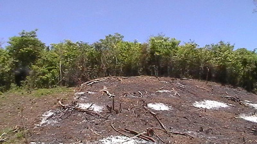 Vendo Rancho 20 Has Libramiento Adolfo López Mateos Tuxpan Veracruz