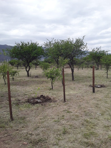 Terreno Baldío Alambrado Dueño Directo - Cortaderas San Luis Ruta 1