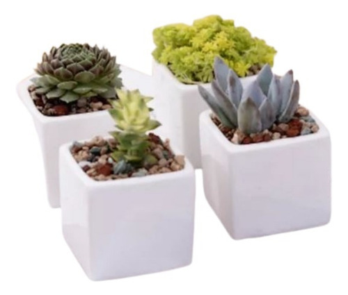 10 Maceteros Cuadrados Para Suculentas De 6 Cm Decoracion Blanco Cuadrado 6 Cm