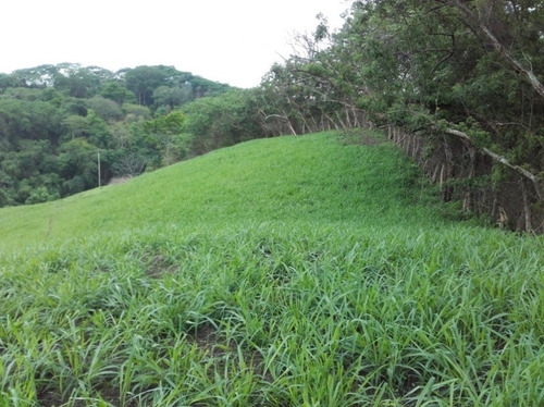 Granja Avicola Ganadera Minera Tinaquillo, Negociable