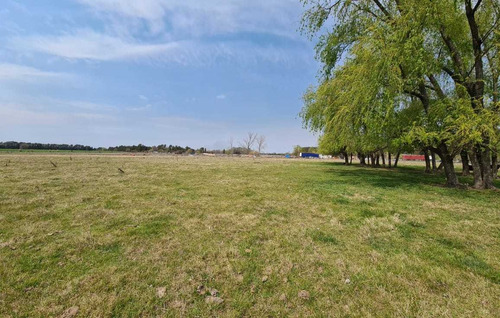 Imagen 4 de 12 de Campo En Venta Sobre Acceso Oeste