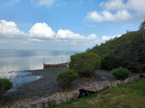 Venta Rancho 100 Has Frente A La Laguna De Tamiahua Veracruz