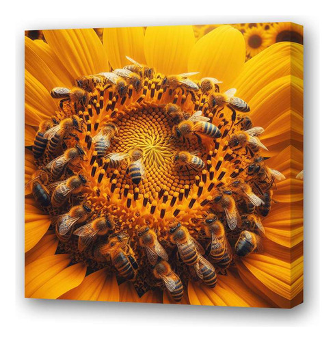 Cuadro 60x60cm Flores Y Abejas Miel Naturaleza Bees M2