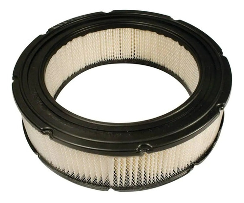 Filtro Aire Compatible Con Motor Briggs&stratton 692519