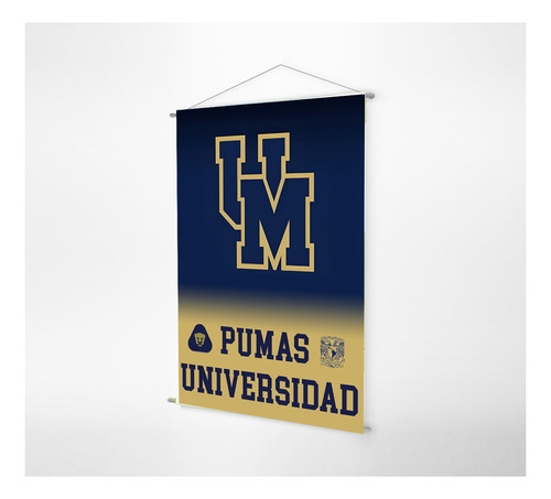 Poster-pendon/tela Pumas C U