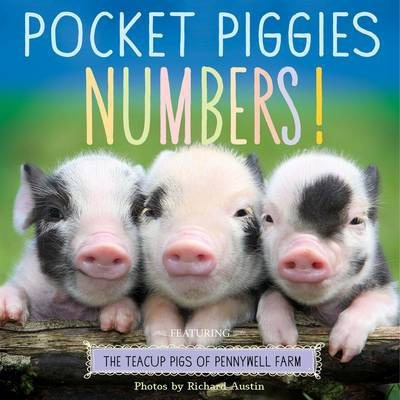 Libro Pocket Piggies Numbers! : Featuring The Teacup Pigs...