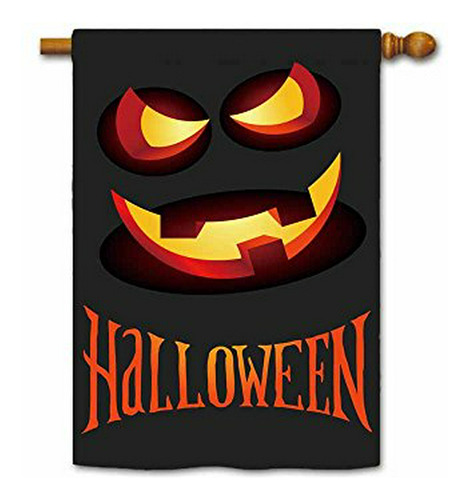 Bandera Casa Fantasma Halloween 28 X40 