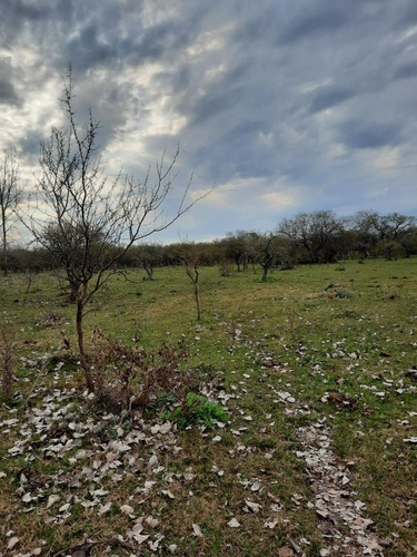 Imagen 12 de 12 de Campo En Venta, Costa Uruguay Sur 0