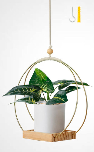 Eco Joy Shineloha - Colgador De Plantas Con Base De Madera, 