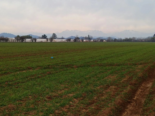 Terreno Agrícola En Venta, Campo De 21 Ha, San Clemente