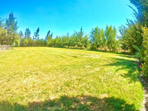Parcela Con Casa De 5.500 M2 En Chiñigue, El Monte