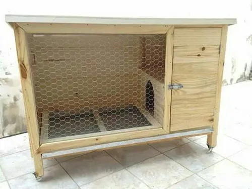 Cuchas
