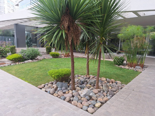 Arriendo Amoblado En Costa De Montemar