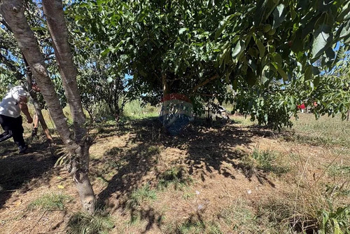 Arriendo Con Compromiso De Compra De 6.667 Mts2