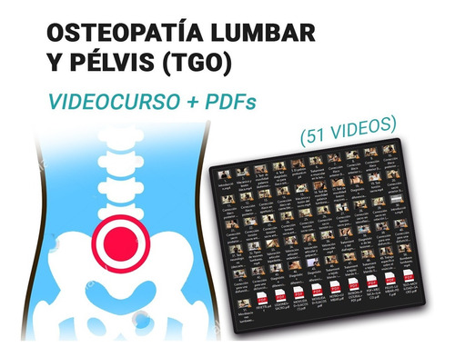 Osteopatía Lumbar Y Pélvis Tgo - 51 Videos + 9 Pdfs
