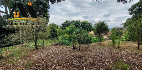 Imagem 6 de 10 de Chácara Para Venda Em Pinhalzinho, Zona Rural - 13_1-2373352