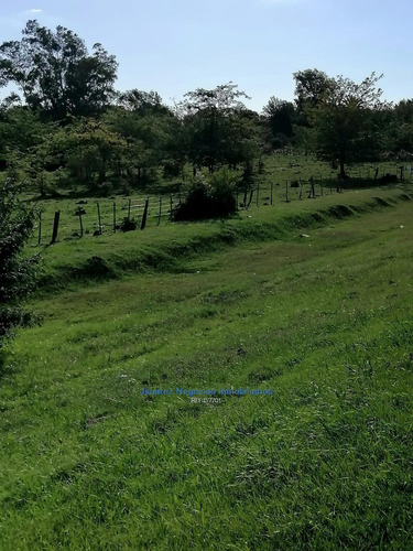 Campo, Canelones Sobre Ruta 5
