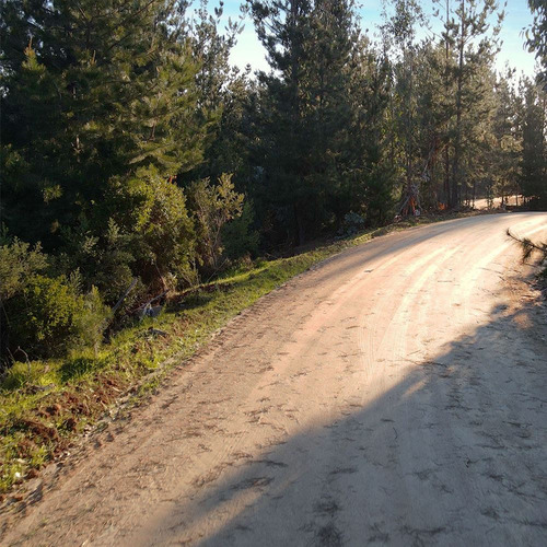 Parcelas En Puertecillo A 15 Minutos Playa Cerca Negocios