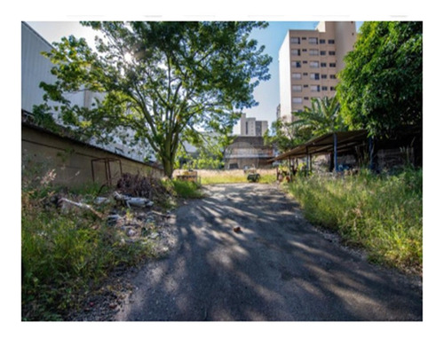 Imagem 9 de 17 de Excelente Terreno Comercial E/ou Residencial Vila Mascote - Reo400622