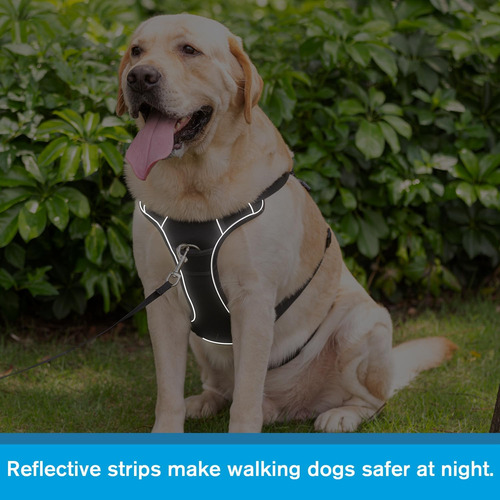 Arnés Para Perro Coodeo Ajustable Con Asa