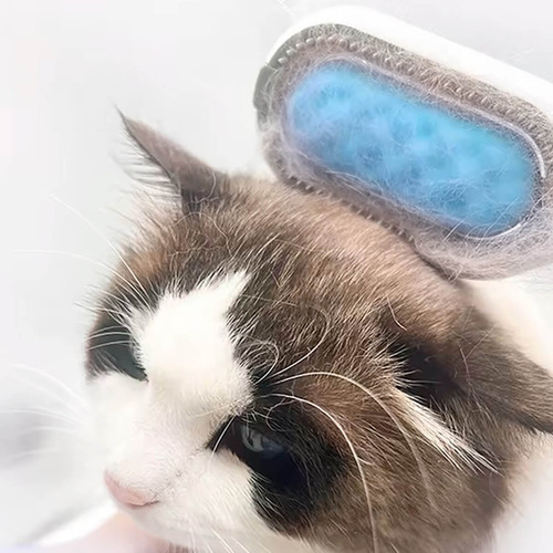 Escova Tira Pelos Encaixe De Fita Adesiva 2 Modos Azul