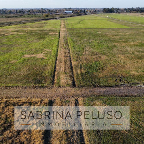 Venta Loteo Barrio Las Rosas - Merlo