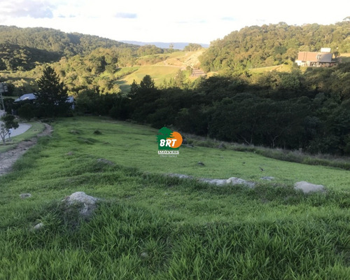 Imagem 8 de 8 de Terreno - Te00164 - 70456139