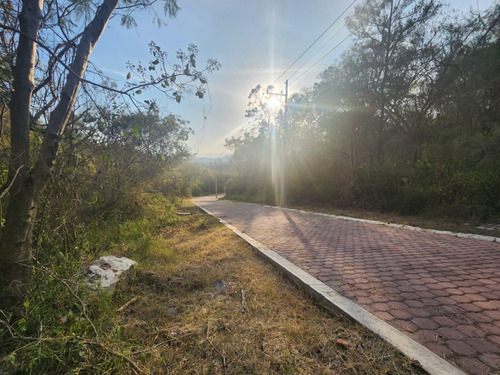 Venta Lote Gladiola 35 En Nueva Zona Del Fraccionamiento Con Bonitas Vistas, Todos Los Servicios Y Proyecto Incluído En Rancho San Diego Ixtapan De La Sal Edomex