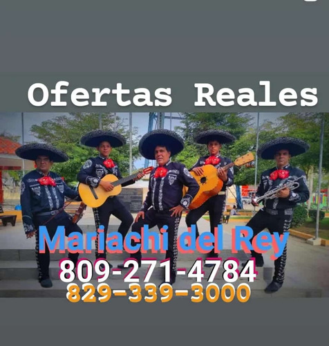 Mariachi Del Rey Oferta