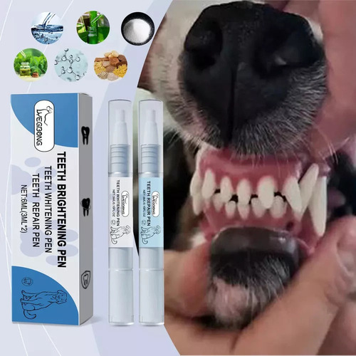 Juego De Bolígrafos Iluminadores De Dientes E Pet