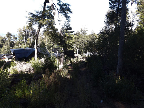 Lote Con Suave Pendiente Con Vista Al Lago Nahuel Huapi, Villa La Angostura