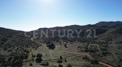 Terreno En Venta, Valle De Guadalupe, B.c.