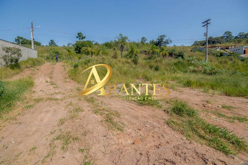 Imagem 7 de 7 de Terreno - Te00079 - 70830147