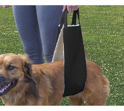 Arnés De Apoyo Para La Cadera De Las Patas Traseras De La