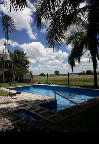 Imagen 14 de 14 de Campo En Gobernador Sola, Entre Rios.
