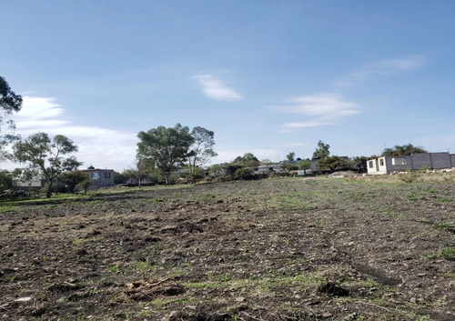Terreno En Venta En Pie De Gallo