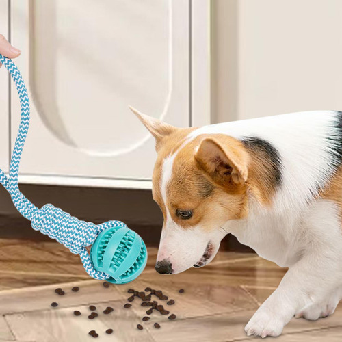 Juguete Para Masticar Con Cuerda Y Pelota Para Bola De 7cm