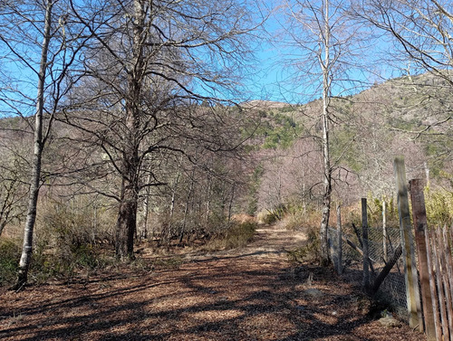 Venta Parcela Panqui (174090)